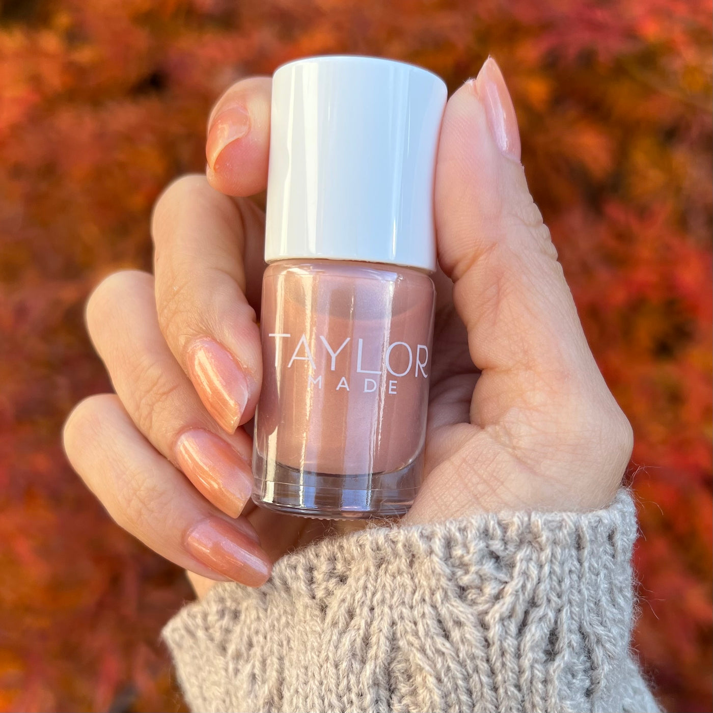 Park Lane Nail Polish Collection